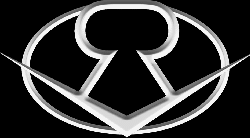 Ruby Riot_Logo
